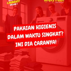 Solusi Laundry Praktis dan Higienis untuk Gaya Hidup Modern Thumnail (1)