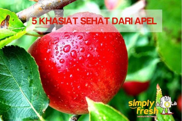 5 Khasiat Sehat Dari Apel