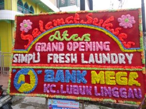 laundry di sumatera selatan