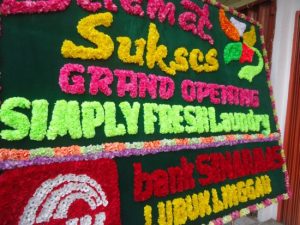 laundry di sumatera selatan