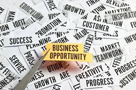 Pilih Franchise atau Business Opportunity?