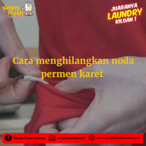cara menghilangkan noda permen karet