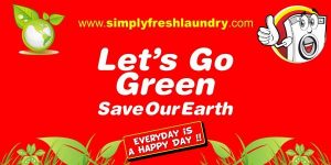 Franchise Laundry Kiloan Go Green